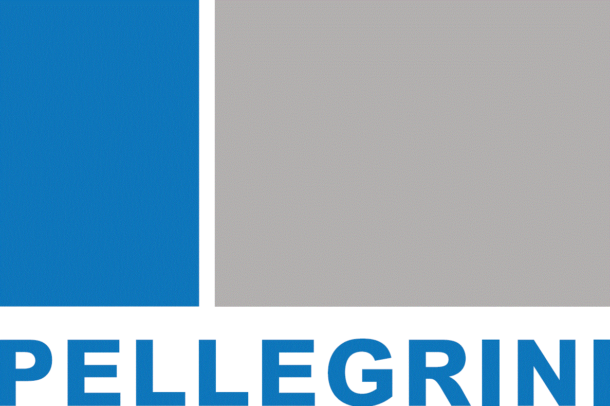 Logo PELLEGRINI