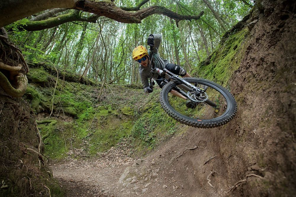 Stefan Eberharter, Athlet / athlete