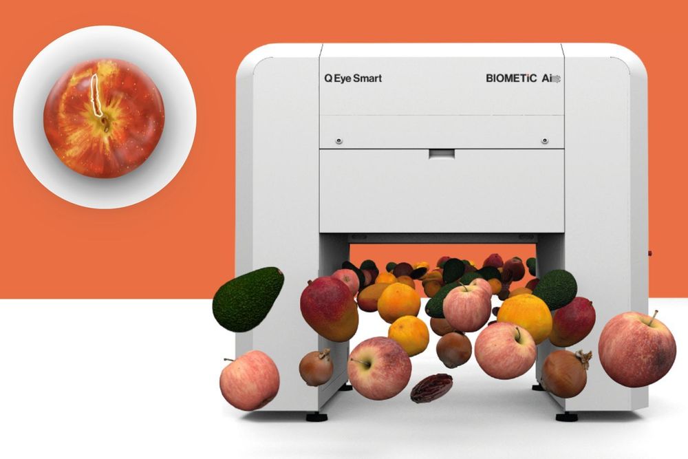 Q Eye Smart: The only Optical Sorting Scanner for fruit producers entirely based on AI (BIOMETiC Ai) ensuring real-time, high-precise sorting