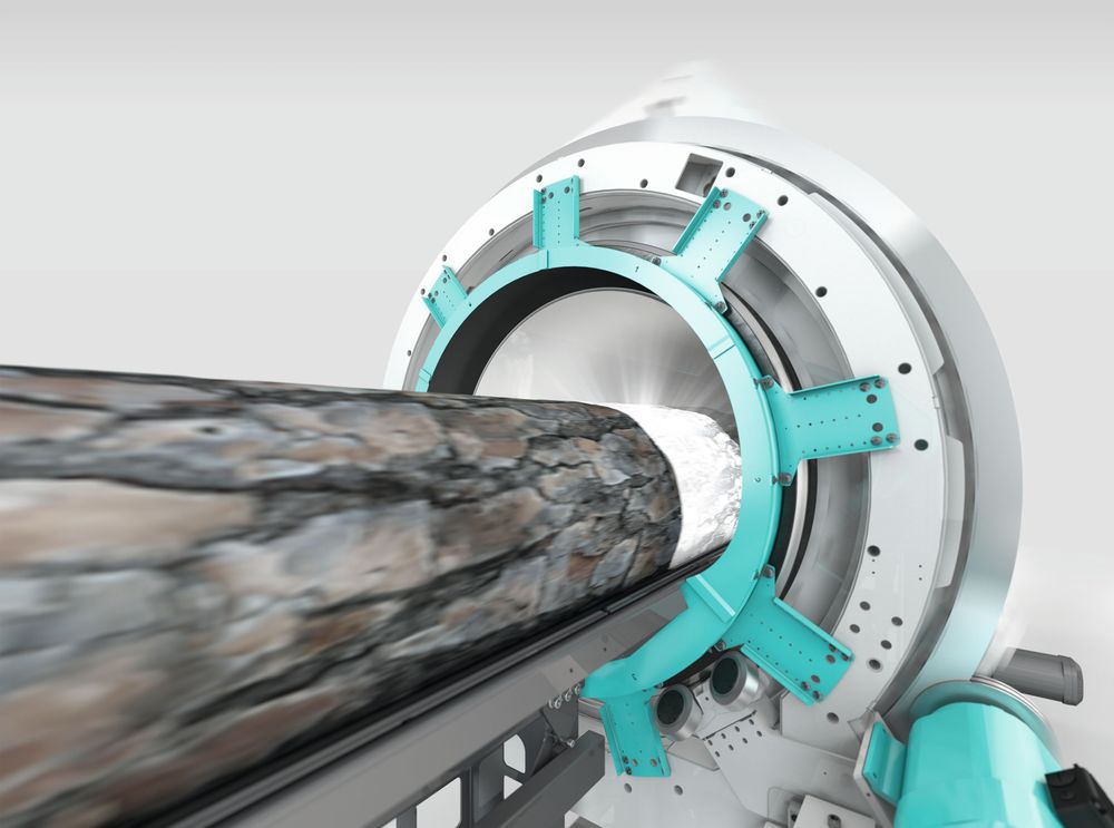 Logeye—roundwood scanner with X-ray technology