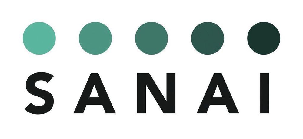 Logo SANAI SYSTEMS