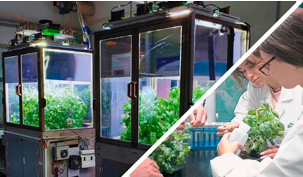 The Microcosm in teaching laboratories