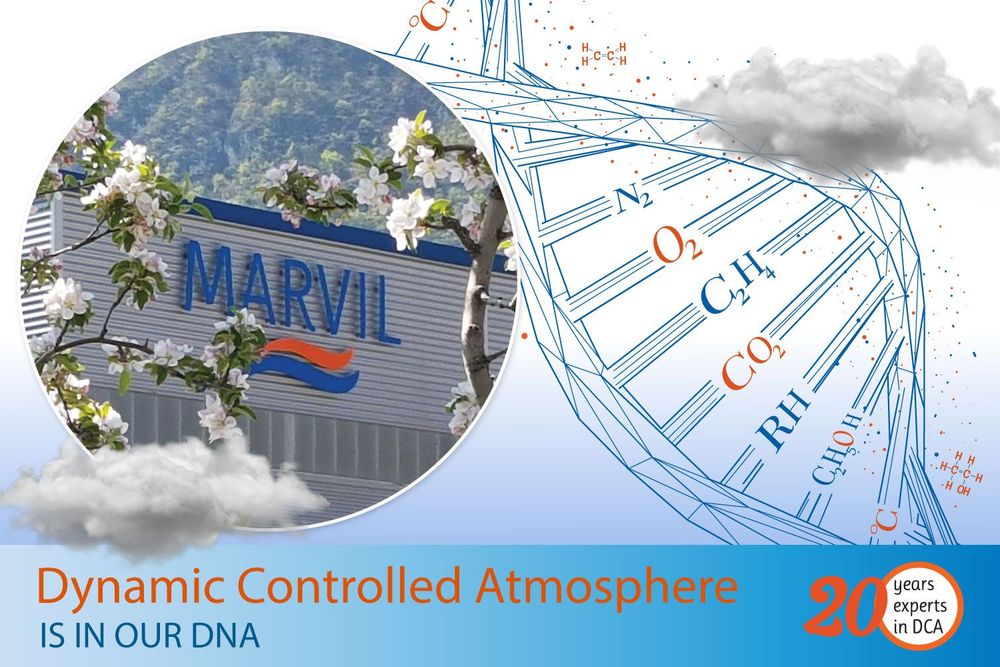 Marvil Engineering is founded in 2003 in Sudtirol South Tyrol by engineers with decades of experience in the controlled atmosphere industry.