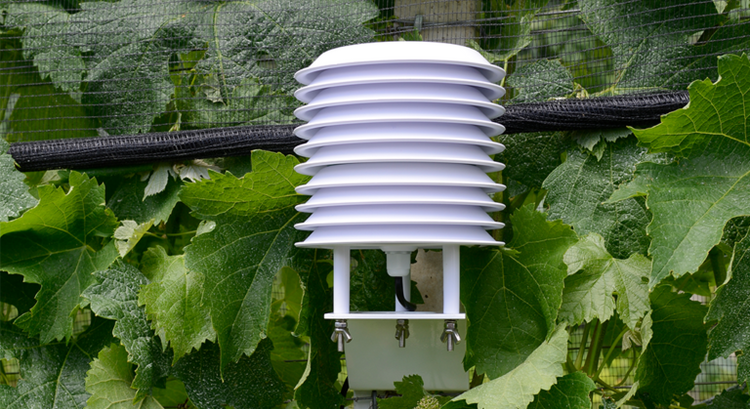 Temperatursensor