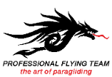 Logo PROFESSIONAL FLYING TEAM